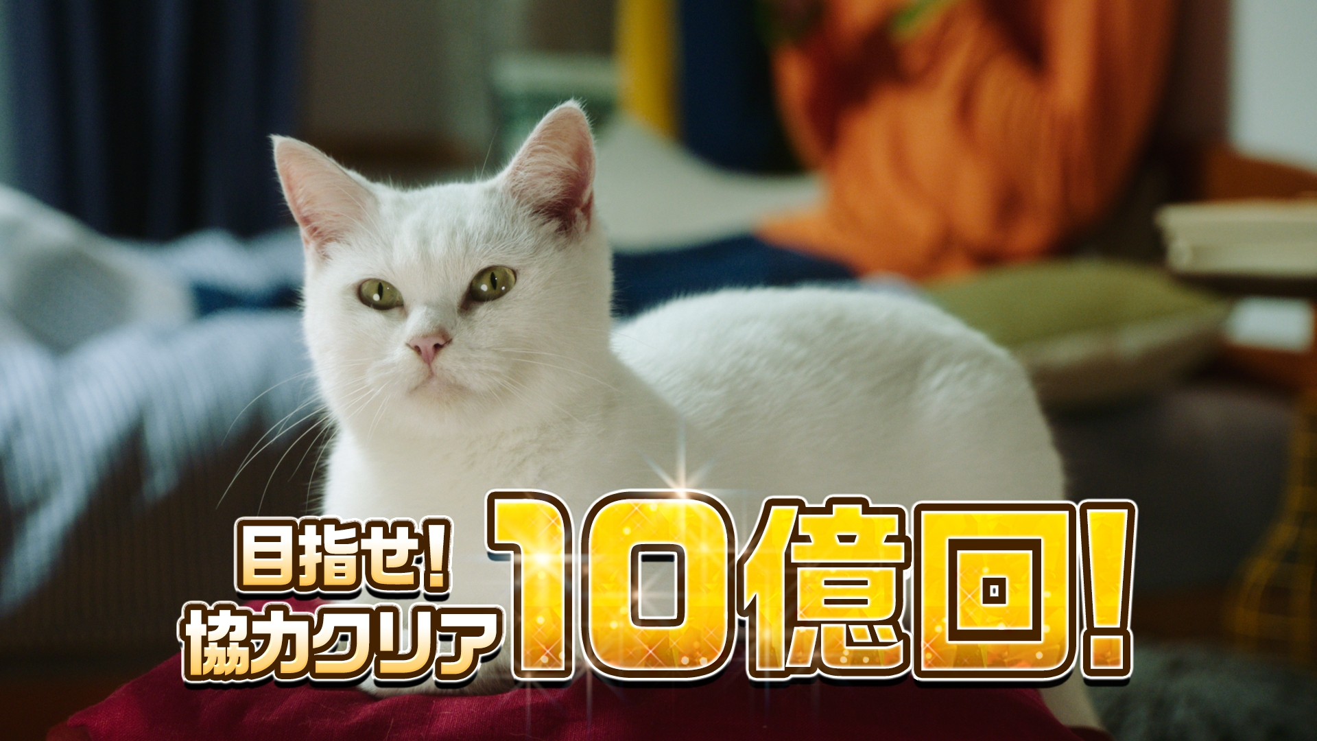 桜井日奈子さんが川柳を詠む 白猫プロジェクト の新テレビcmが放映決定 Appliv Games