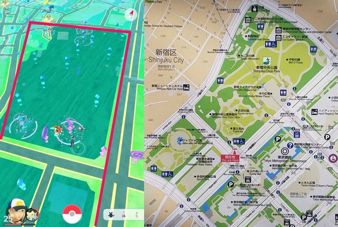 2 17版 ポケモンgo 攻略 メガニウムを最速ゲット 新宿中央公園にチコリータが大量発生中 Appliv Games